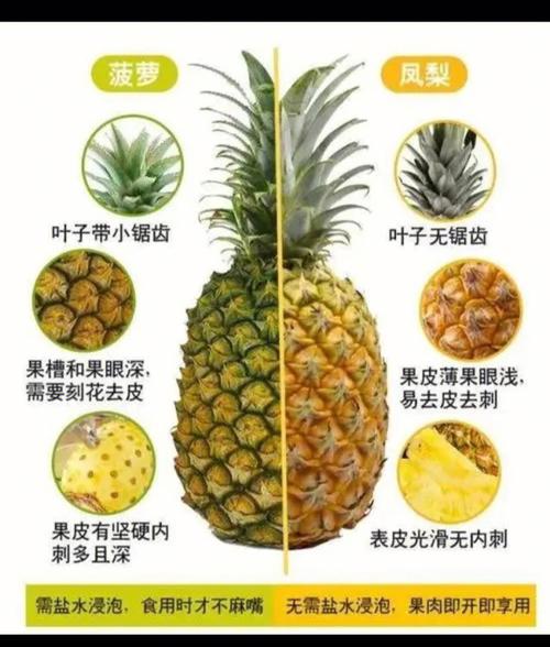 凤梨与菠萝的区别功效和作用